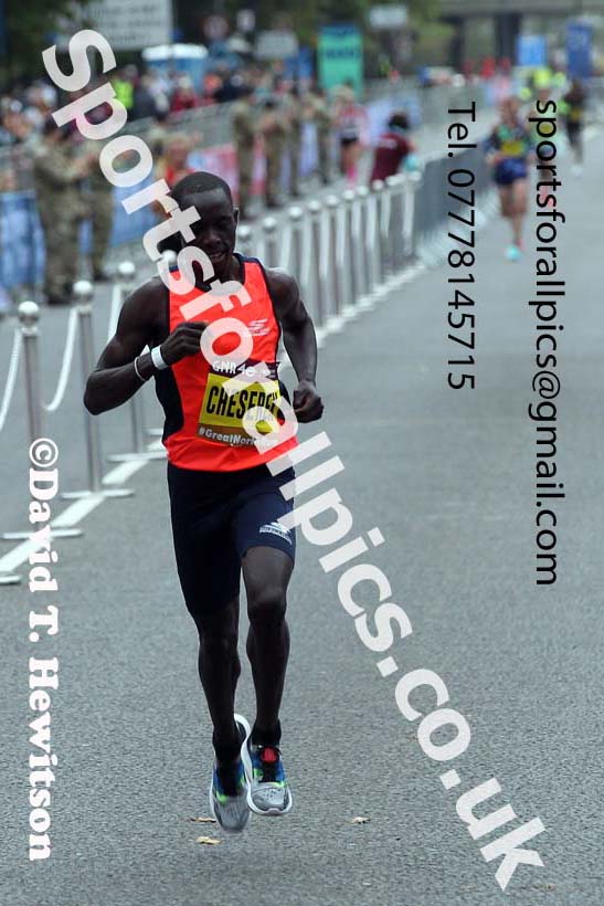 Mens Great North Run. Photo: David T. Hewitson/Sports for All Pics